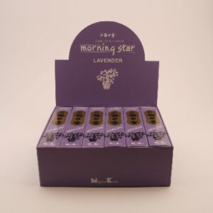 Lavendel Morning Star 50st